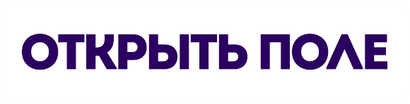 Кнопка открытия поля